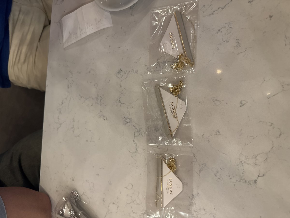 Beyaz Taşlı Kuğu Kolye (Silver) görsel 3
